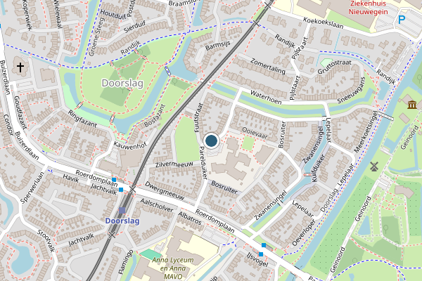 Politie-melding op Parelduiker, Nieuwegein op 10 juli, kaart-overzicht