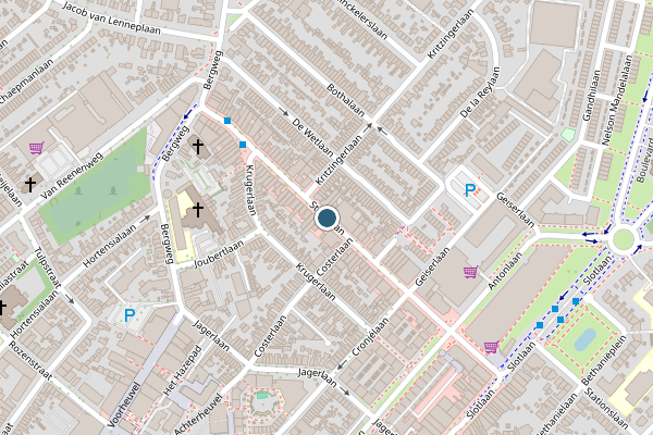 Politie-melding op Steynlaan, Zeist op 3 juni, kaart-overzicht
