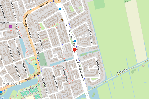 Brandweer-melding op Anne Franklaan, Montfoort op 9 juni, kaart-overzicht
