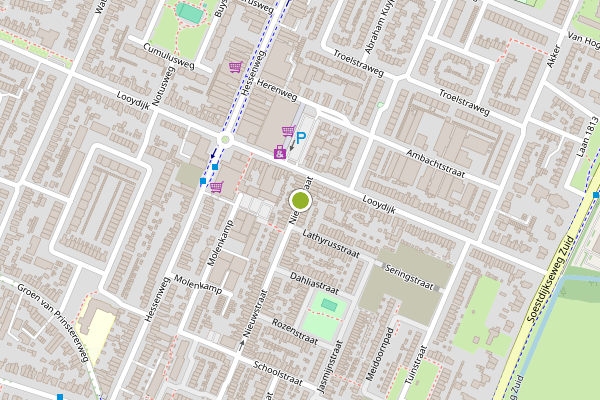 Ambulance-melding op Nieuwstraat, De Bilt op 22 juni, kaart-overzicht